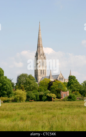 L'eau de la cathédrale de Salisbury Wiltshire England UK Meadows Banque D'Images