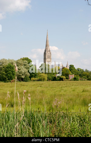 L'eau de la cathédrale de Salisbury Wiltshire England UK Meadows Banque D'Images