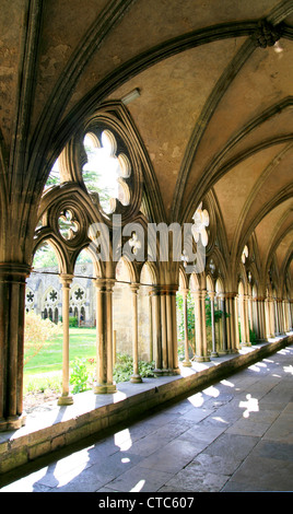 Cloître de la cathédrale Salisbury Wiltshire England UK Banque D'Images