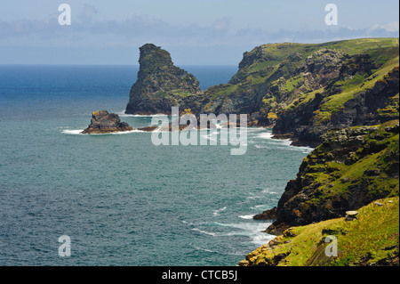 Selle les rochers et l'île Long La côte nord des Cornouailles, Angleterre Royaume-uni montrant Trambley Cove Trewerthet Gut et Darvis's Point Banque D'Images