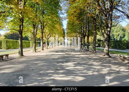 Parc du château de Pillnitz, Allemagne Banque D'Images