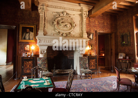 Une salle dans le château d'Azay-le-Rideau dans la vallée de la Loire France Banque D'Images