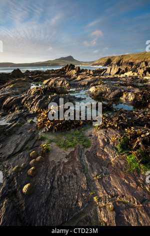 Coucher de soleil sur les rochers sur Porthselau Beach à la direction St David's Head, Pembrokeshire, Pays de Galles Banque D'Images