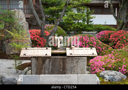 Bassin de temizu (purification) entouré d'azalées florissantes (tsutsuji, ou azalée japonaise), au sanctuaire de Fushimi Inari-taisha, Kyoto, Japon Banque D'Images