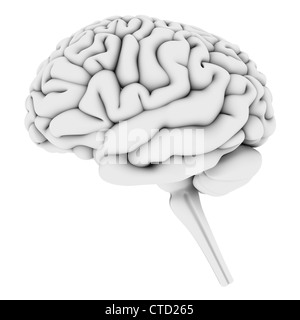 Oeuvre de cerveau Banque D'Images