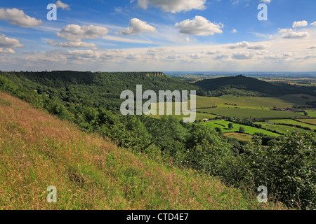 Roulston Scar et Hood Hill de Sutton Bank sur le Cleveland Way près de Thirsk, Yorkshire du Nord, North York Moors National Park, Angleterre, Royaume-Uni. Banque D'Images