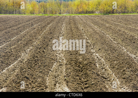 Terrain agricole labouré prêt pour les semis de printemps dans le Maine. Banque D'Images