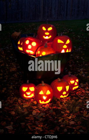 Les citrouilles sculptées allumé dans une brouette avec des feuilles d'automne sur pelouse arrière au crépuscule. Banque D'Images