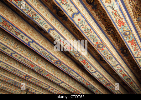 Des poutres apparentes peintes à l'intérieur du Château de Montpoupon près de Montrichard France Banque D'Images