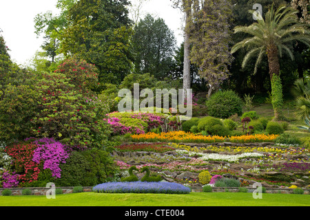 Les azalées en fleur au printemps, les jardins de la Villa Carlotta, Tremezzo, Lac de Côme, Italie du Nord, en Europe Banque D'Images