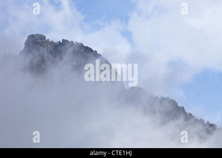 Falaises et forêt dans la brume, de la vallée de l'Engadine, Alpes Suisses, Suisse Europe Banque D'Images