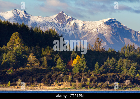 Montagnes et forêts de l'automne - vue de Lac Te Anau, Nouvelle-Zélande 3 Banque D'Images