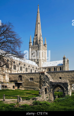 Cathédrale de Norwich Banque D'Images