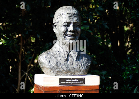 Un buste de Nelson Mandela au Jardins de Kirstenbosch sculpté par John Francis Gardner Banque D'Images