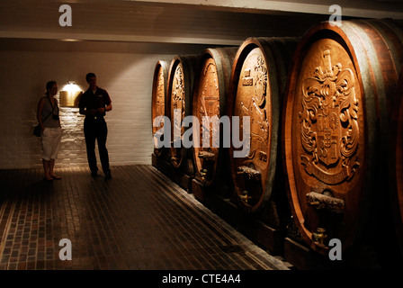 Bergkelder centre visiteurs de vin et d'embouteillage, Cape Winelands, Stellenbosch, Western Cape, Afrique du Sud Banque D'Images