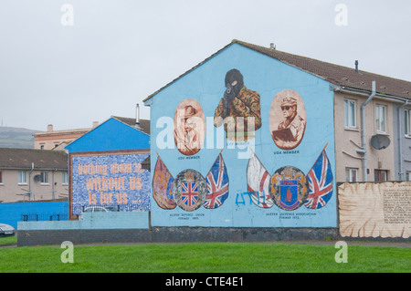 Des fresques murales représentant des assassins loyaliste dans l'Ouest de Belfast de Shankill. Banque D'Images