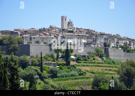 Vue sur colline, commune de Saint-Paul de Vence, Côte d'Azur, Alpes-Maritimes, Provence-Alpes-Côte d'Azur, France Banque D'Images