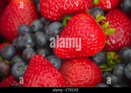 Close up de fraises et de bleuets Banque D'Images