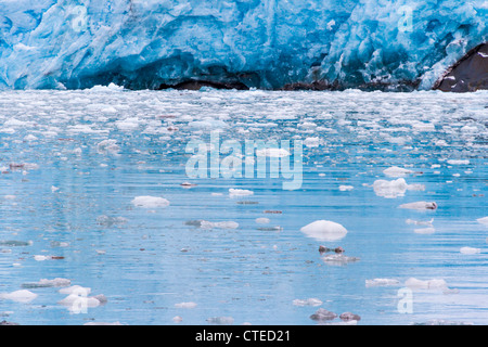 À partir de blocs de glace par vêlage des glaciers du nord-ouest dans le nord-ouest du fjord Kenai Fjords National Park en Alaska. Banque D'Images