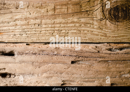 USA, New Jersey, Jersey City, Old plank Banque D'Images