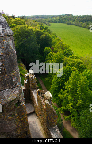 Vue depuis le haut de Blarney Castle, comté de Cork, Irlande Banque D'Images