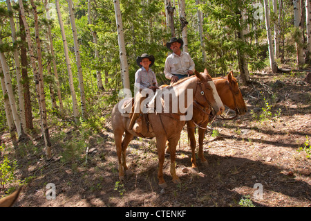 USA Utah Escalante, balade à cheval jusqu'au plateau d'Aquarius à travers forêt de pins ponderosa. Banque D'Images