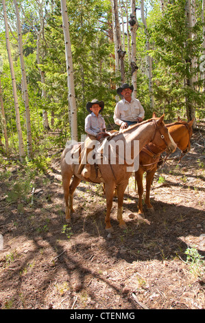 USA Utah Escalante, balade à cheval jusqu'au plateau d'Aquarius à travers forêt de pins ponderosa. Banque D'Images