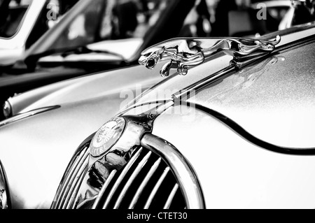 L'emblème de la voiture Jaguar (noir et blanc) Banque D'Images