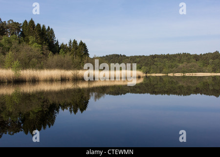 Photo d'un petit lac, avec la végétation reflétant dans l'eau. Ciel bleu, bleu de l'eau, un endroit calme pour se détendre Banque D'Images