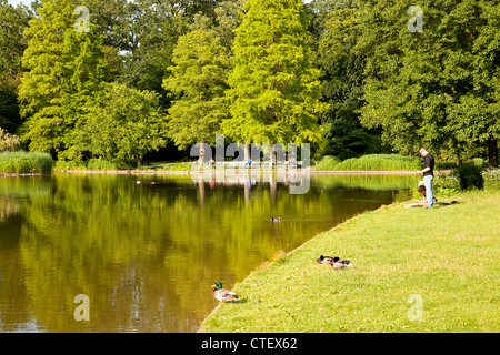 Lac à les jardins du palais de Karlsruhe, Bade-Wurtemberg, Allemagne Banque D'Images