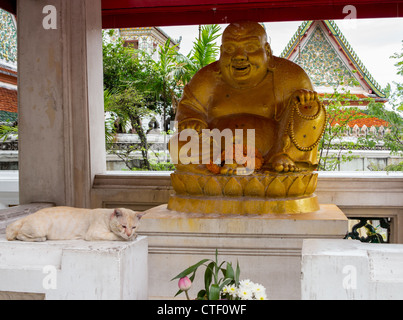 Endormi par la graisse de chat grande statue du Bouddha d'or dans le temple Wat Po près de Bangkok en Thaïlande Banque D'Images