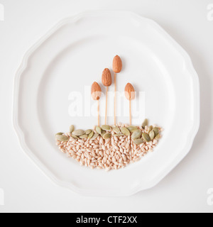 Composition des graines, studio shot Banque D'Images
