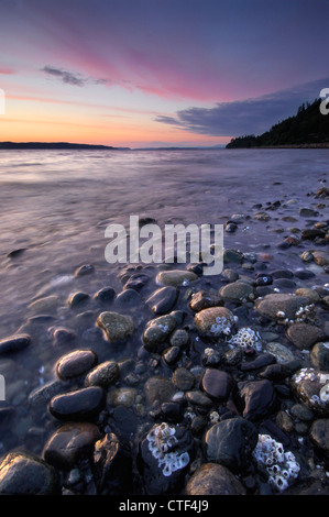 Coucher de soleil sur le Puget Sound au point de pique-nique County Park, comté de King, Washington, États-Unis Banque D'Images