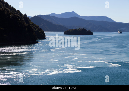 Entre les îles de la Nouvelle-Zélande en ferry le détroit de Cook Banque D'Images