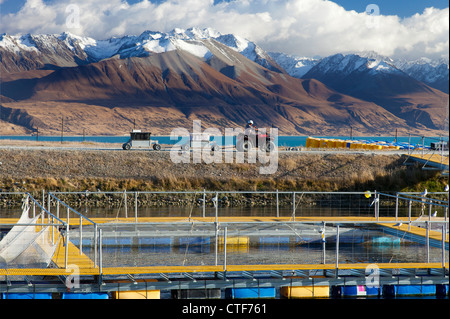 Salmon Farm sur canal hydro entre lacs Pukaki et Tekapo, île du sud de Nouvelle-zélande 2 Banque D'Images