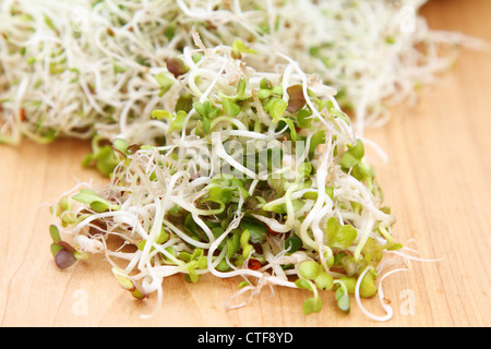 La luzerne et pousses de radis sur fond de bois. Libre. Banque D'Images