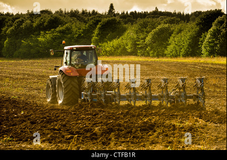 Vue arrière d'un tracteur labourant un champ sous le soleil de la fin de la soirée d'été Banque D'Images