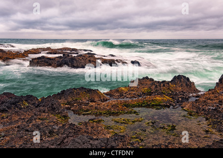 Ondes de tempête à marée haute d'exploser contre le rivage de basalte de l'Oregon's Cape Perpetua Scenic Area. Banque D'Images