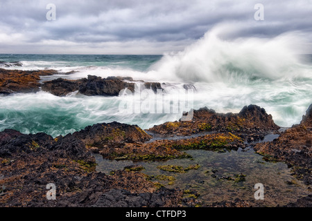 Ondes de tempête à marée haute d'exploser contre le rivage de basalte de l'Oregon's Cape Perpetua Scenic Area. Banque D'Images