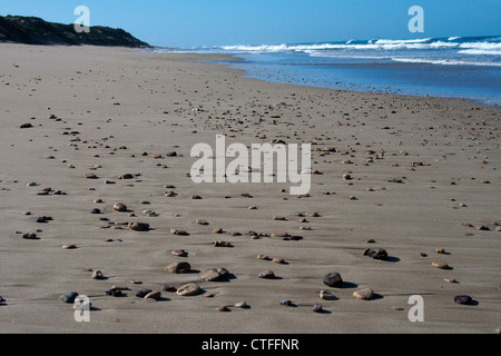 Galets sur une plage le long de la Great Ocean Road, l'Australie Banque D'Images