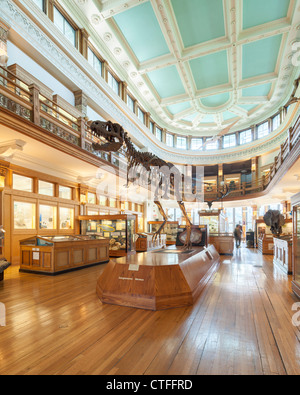 Musée Redpath, Université McGill, Montréal Banque D'Images