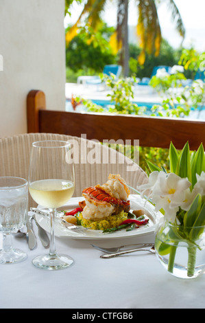 Caraïbes Antilles Nevis Mount Nevis Hotel - le homard servi sur risotto - restaurant de fine cuisine vin blanc alimentaire Banque D'Images