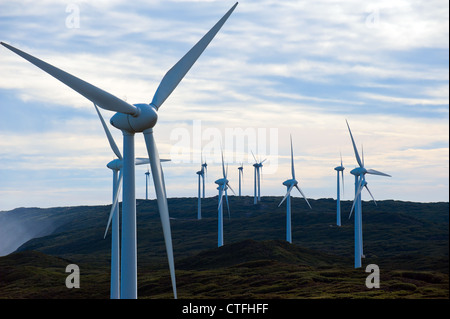 L'Albany Wind Farm sur la péninsule de Torndirrup à Albany, dans l'ouest de l'Australie Banque D'Images