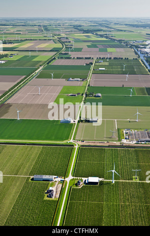 Les Pays-Bas, Marcourt, de fermes et de terres agricoles de Flevopolder. Vue aérienne. Banque D'Images