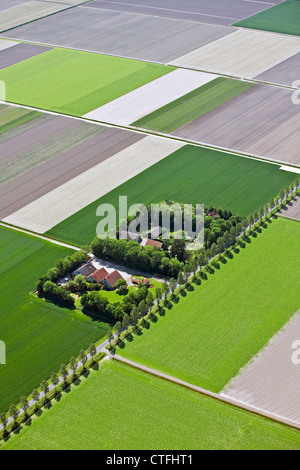 Les Pays-Bas, Nagele, de fermes et de terres agricoles de Flevopolder. Vue aérienne. Banque D'Images