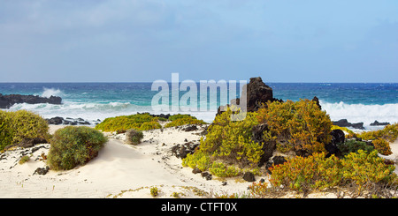 Plage, rochers et l'océan Atlantique, Lanzarote, Espagne. Banque D'Images