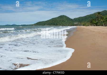 À Etty plage, le Rainforest répond à la côte, près de Innisfail, Cassowary Coast, Queensland Banque D'Images