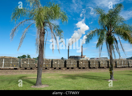 Moulin à Sucre Tully en action au cours de l'écrasement du temps de Juin à Novembre à Tully, Queensland, Australie Banque D'Images