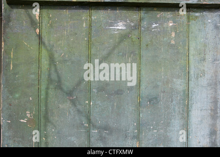 Texture vert porte comme un arrière-plan avec peeling peinture craquelée Banque D'Images