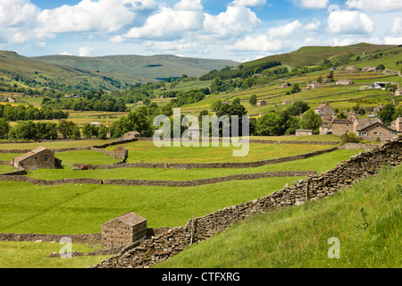 La recherche de Swaledale avec le village de Gunnerside sur la droite. Yorkshire Dales UK Banque D'Images